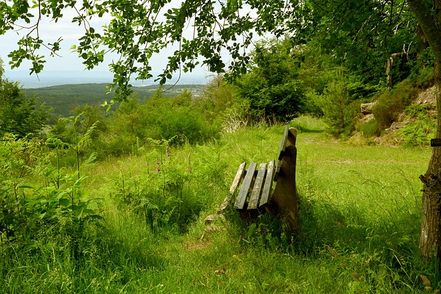 依赖布克显 依赖布克显