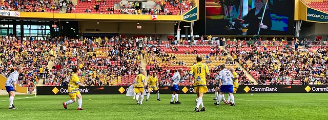 系统化的培 系统化的培