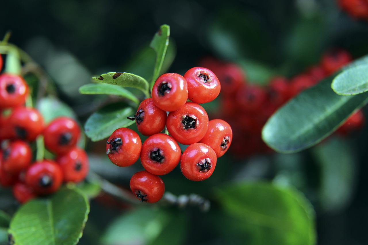 的攻击威胁 的攻击威胁