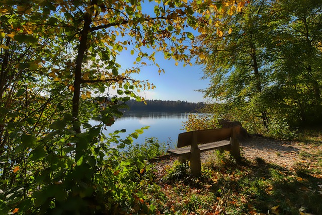 来了进一步 来了进一步